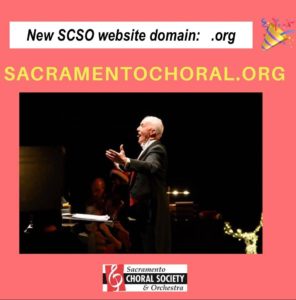 New SCSO website domain - .org